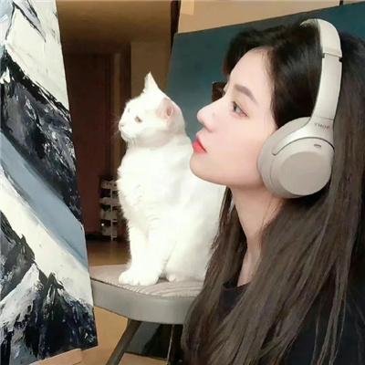 快把我夫人带走